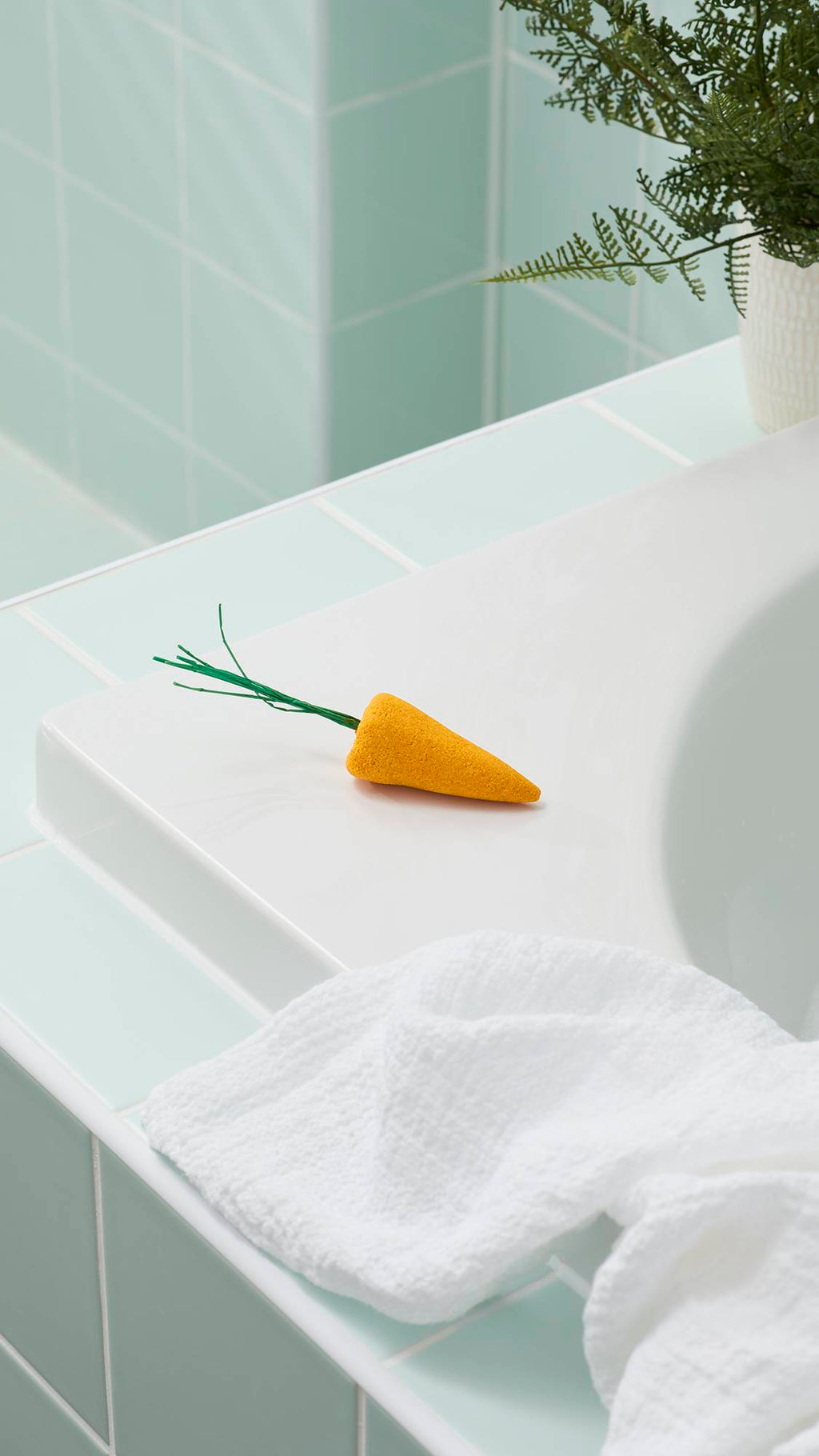 Baby Rainbow Carrots - 40g