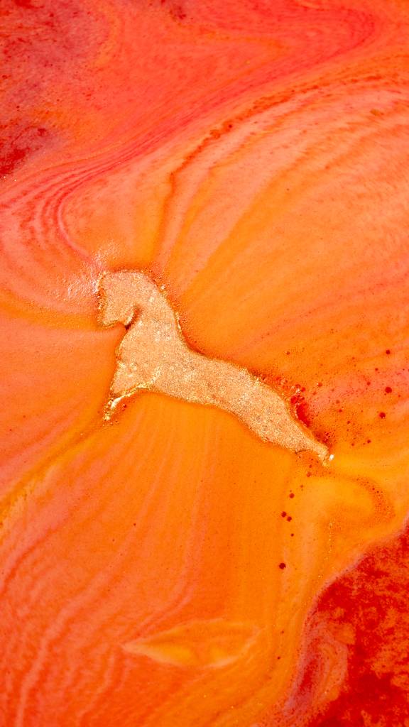 Gallop To Success - 145g