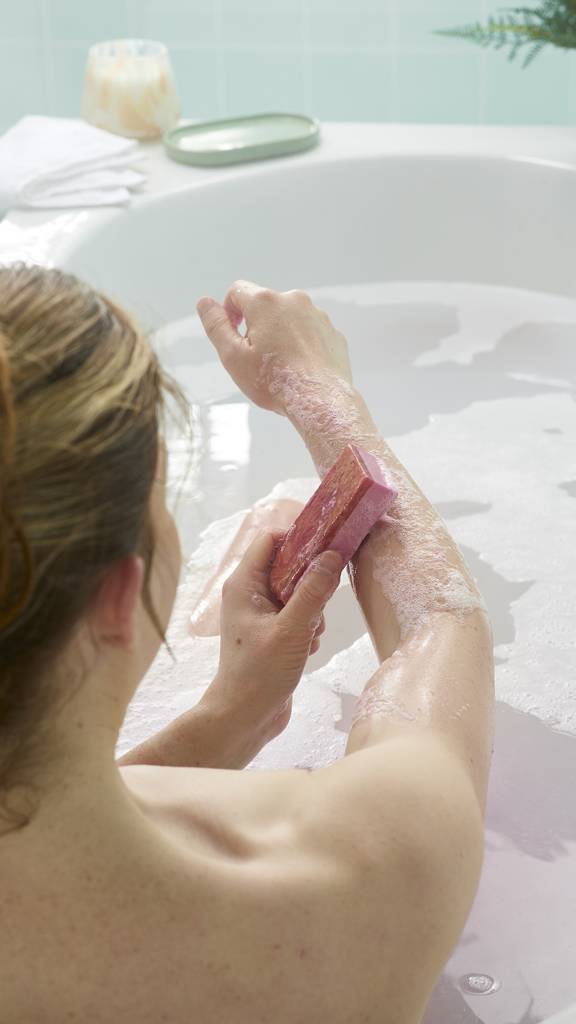 The Goose's Golden Egg - None