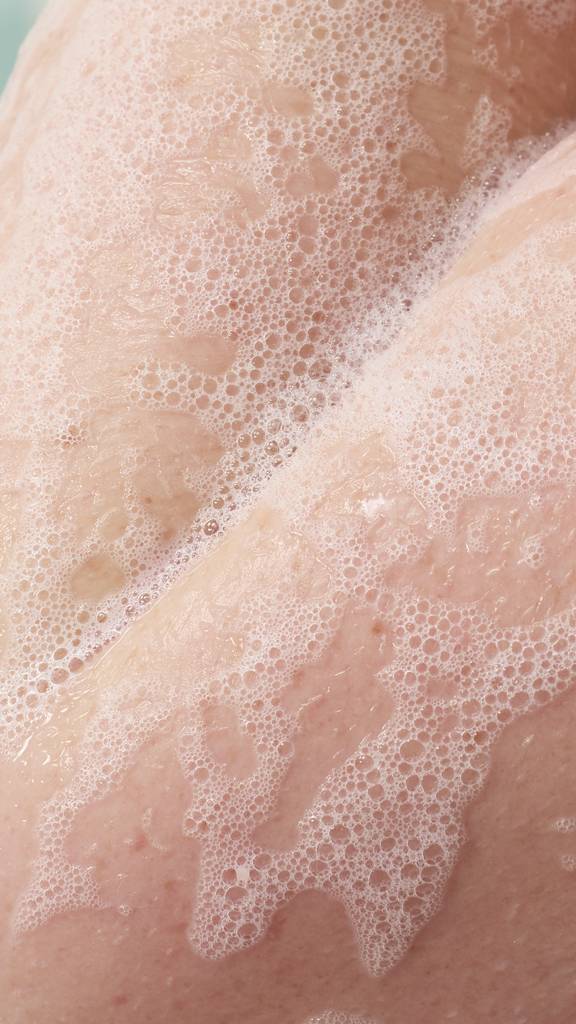 The Goose's Golden Egg - None